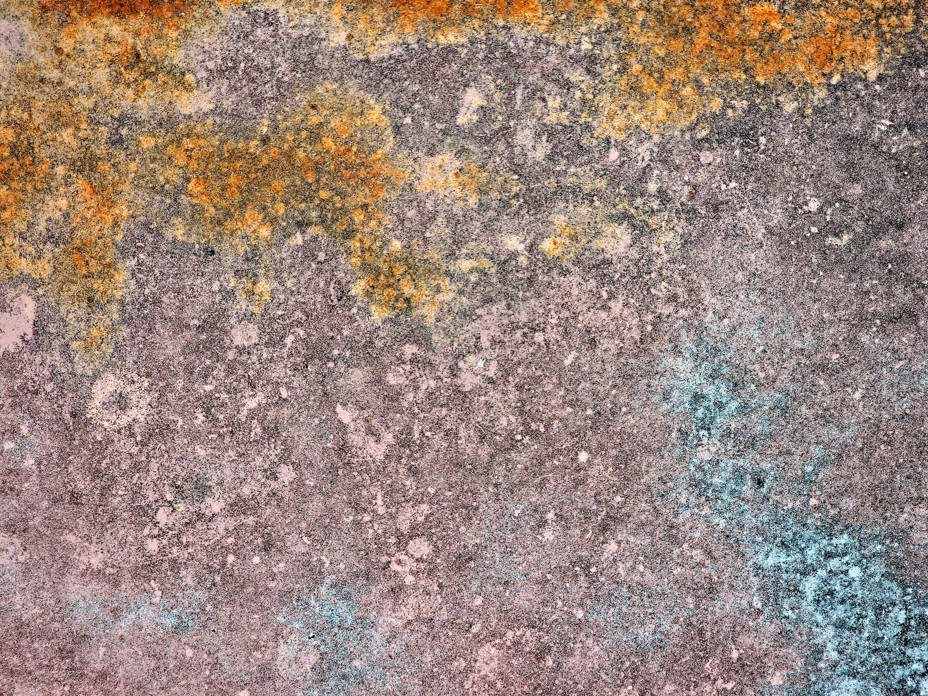 Teal mist holds the field, mottled patterns trace the skin, light catches the grit