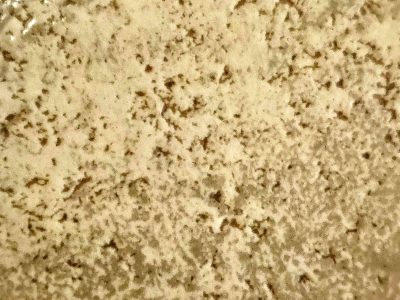 Beige stone deeply pitted, dark grains dance in creamy light, solid earth remains