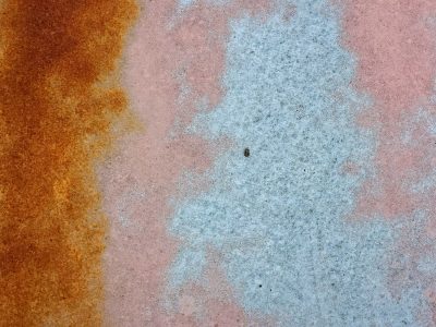 Rust blooms on the left, faded pink wears thin and old, blue paint drifts like frost