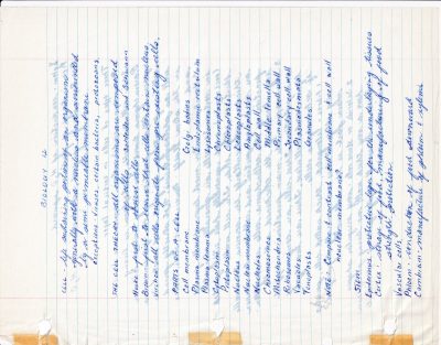 Blue ink flows on lines, biology terms in cursive script, ghosts of words show through
