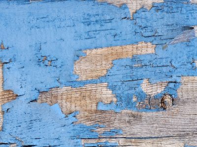 Blue paint curls away, weathered wood grain shows through cracks, time peels back the skin
