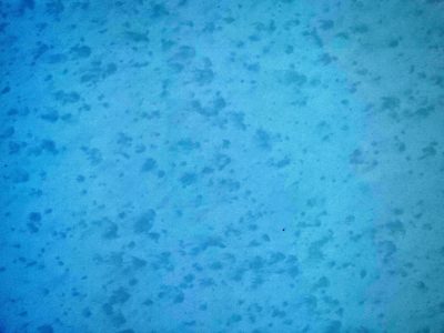 Blue pigment remains, mottled shadows dance slowly, weathered surface fades