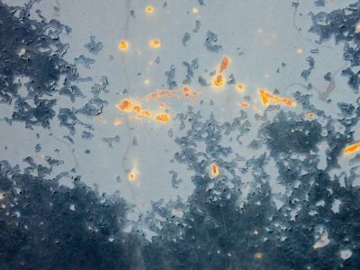 Blue skin flakes away, orange spots claim the metal, grit marks the finish