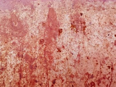 Red dust coats the steel, crimson stains on pitted plate, iron turns to earth