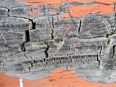 Blue skin has white trails, vertical streaks trace the field, light carves the surface