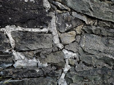 Blue skin meets the light, orange spots trace on the field, grit holds the pattern