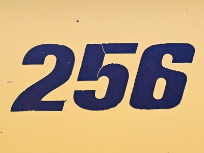 Bold ink on yellow, fissures split the numbered skin, sequence holds its place