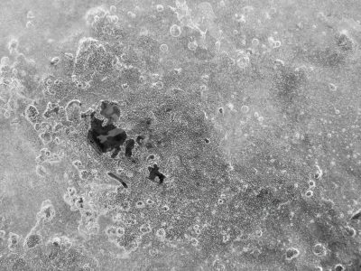 Bubbles trapped in ice, silver breath in frozen light, winter stills the flow