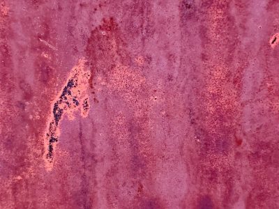 Crimson wash of age, orange blooms on purple skin, metal starts to pit