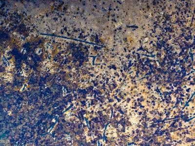 Dark fields meet the light, jagged spots scatter on top, grit holds the finish