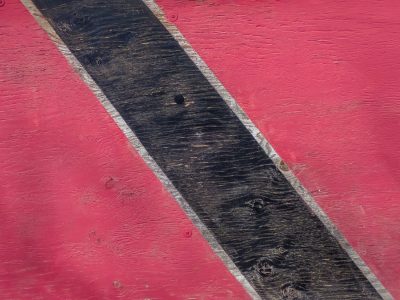 Deep pits mark the skin, jagged fibers trace the field, grit holds the shadow