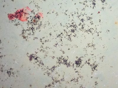 Faded minty steel, dark decay blooms in the grain, red paint leaves its mark