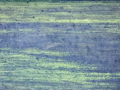 Faded purple grain, lime light spills across the board, years of wear show through