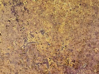 Gold mist holds the field, mottled grit claims the heavy metal, light carves the skin