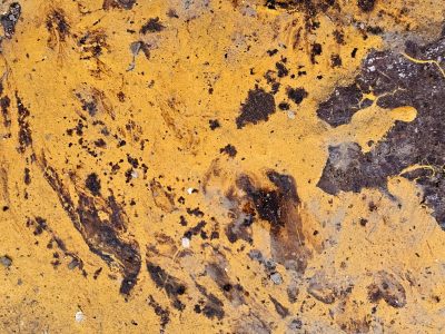 Gold paint flakes away, shadows bloom in rusty pits, time wears down the iron