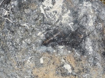 Gray stone holds the threads, white fibers cling to the face, ancient patterns etched