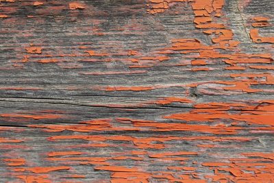 Gray wood holds the grain, orange paint flakes from the light, time peels back the layers