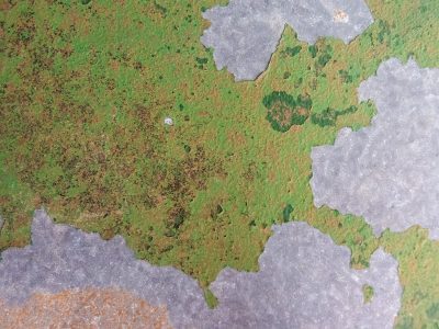 Green skin flakes away, grey paths meet the heavy light, grit marks the finish