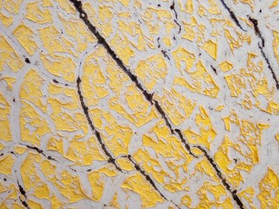 Yellow flakes peel back, deep dark cracks divide the crust, time sheds every layer