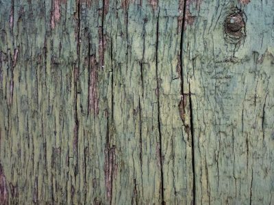 Green skin flakes away, vertical grain holds the light, weather wears the line