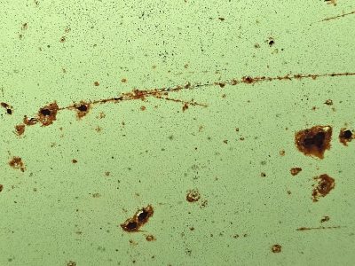 Green skin has light marks, orange pits trace the field, grit marks the finish