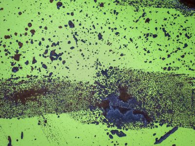 Green skin has rust trails, mottled patterns trace the field, light carves the metal