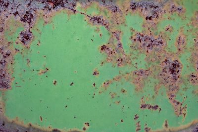 Green skin has rust trails, mottled patterns trace the field, light catches the grit