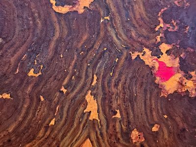 Green skin peels fast, jagged rust traces paths, light holds the edge