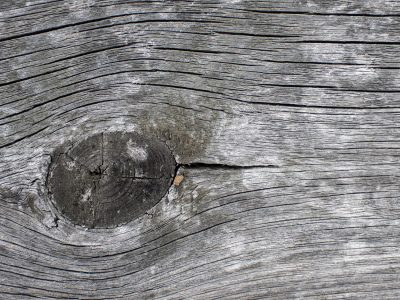 Grey chips meet the grain, jagged bits hold the surface, time wears the finish