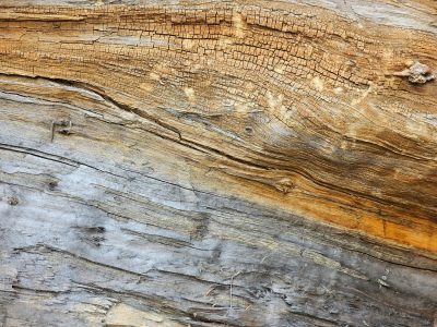 Grey grain meets the light, tan paths trace the heavy wood, time marks the finish