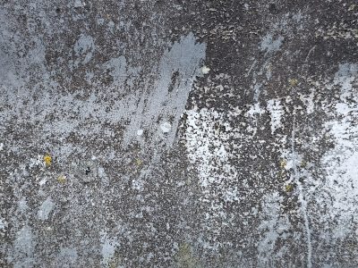 Grey paint flakes away, charcoal grit meets faded white, lichen finds a home