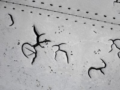 Grey skin has dark threads, jagged scars trace the heavy, light carves the surface