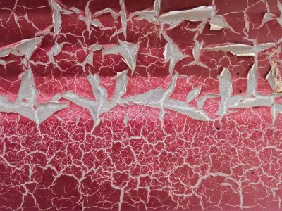 Grey skin holds the green, jagged marks trace the surface, time wears the finish