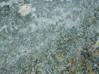 Grey skin holds the light, ancient lichen traces the heavy surface, stone marks the finish