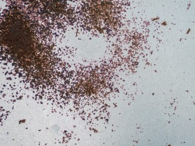 White surface decays, dark iron blooms like a scar, time eats through the steel