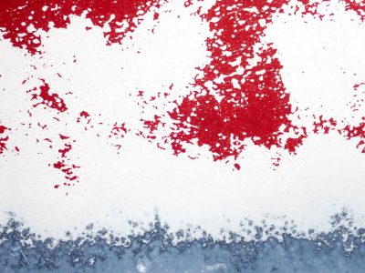 Red flakes drift away, white expanse meets frosted blue, time wears down the skin