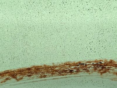 Mint paint wears away, jagged rust cuts through the field, metal starts to bleed