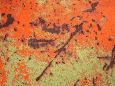 Orange fields meet green, dark trails trace the heavy skin, grit marks the finish