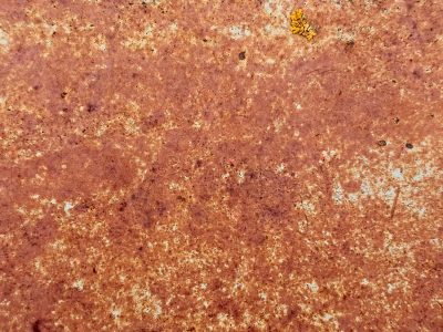 Orange flakes of iron, lichen clings to ancient steel, time eats through the wall