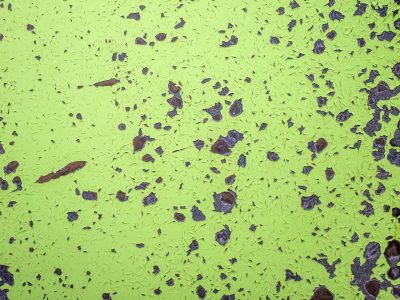 Bright green skin flakes off, dark earth breaks the neon shell, time chips at the wall