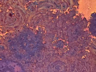 Orange grit claims the light, heavy paths trace the surface, years leave a deep trace