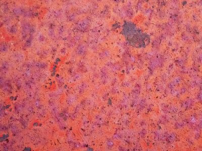 Orange oxide blooms, purple shadows stain the plate, iron yields to air