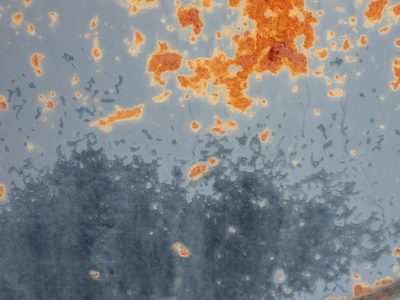 Orange rust blooms bright, faded paint begins to peel, metal yields to time