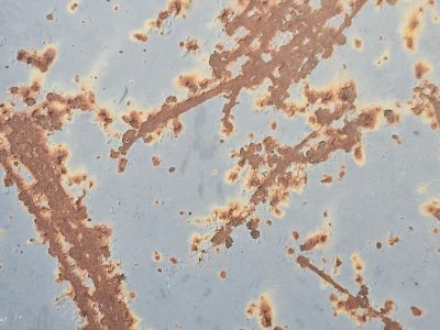 Orange rust takes hold, spreading on a faded blue, iron meets the air