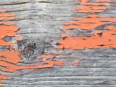 Orange skin lifts up, deep grain carves the heavy field, light marks the old wood