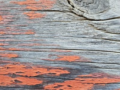 Orange strips lift up, deep grain carves the heavy field, weather claims the skin