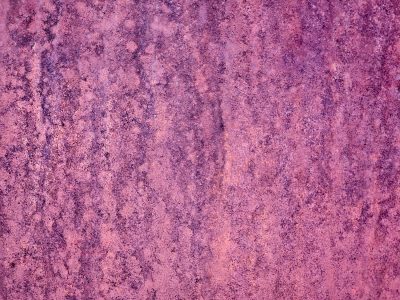 Paint skin flakes away, orange grit claims the metal, years leave a deep trace