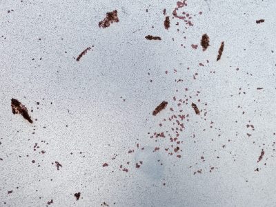 Pale blue surface fades, brown decay begins to bloom, metal turns to dust