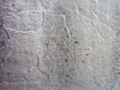 Pale grey stone surface, veins trace paths through mottled dust, cold hard texture waits