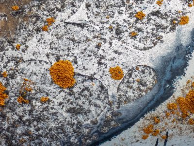 Pale pits mark the skin, jagged shadows trace the field, light catches the grit